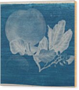 Cyanotype Photo Of A Plant - 3 Wood Print
