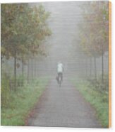Cyclist In The Mist Wood Print