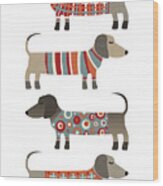 Dachshund Dogs In Sweaters Wood Print