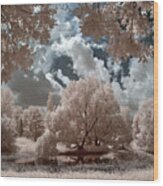 Dad's Pond - Infrared View Of Weeping Willows Around A Summer Pond Wood Print