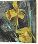 Daffodil, Daffodil Wood Print