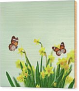 Daffodils And Butterflies Wood Print