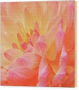 Dahlia - Floral Close Up Wood Print