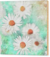 Daisy Cluster Watercolor Wood Print