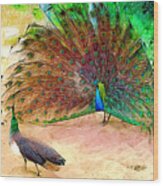 Dance Of The Peacock And Peahen Wood Print