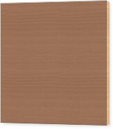 Dark Terracotta Brown Clay Solid Color by PIPA Fine Art - Simply Solid