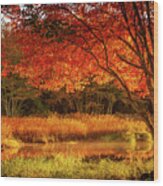 Dawn Lighting Rhode Island Fall Colors Wood Print