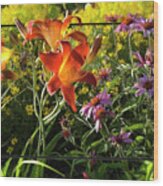 Daylilies And Cone Flowers Wood Print
