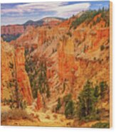 December 2022 Bryce Canyon Detail Wood Print