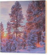 December Sunrise Wood Print