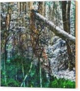 Deep Forest Wood Print