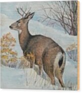 Deer In The Snow Wood Print