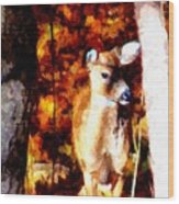 Deer In The Woods Wood Print