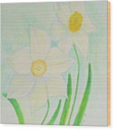 Delicate Daffodils Wood Print