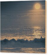 4143 Delray Beach Atlantic Ocean Wood Print