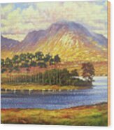 Derryclare,connemara,ireland Wood Print