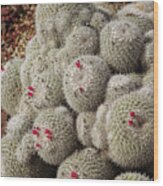 Desert Little Red Cactus By M By Mike-hope Wood Print