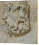 Detail Of Head Of  Prometheus Wood Print