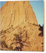 Devils Tower Wood Print