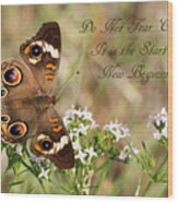 Do Not Fear Change Butterfly Quote Wood Print