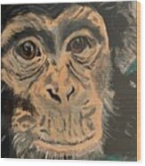 Chimpanzee Rescue Wood Print