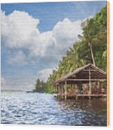 Dockhouse Under The Palms Painting Wood Print