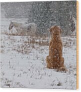 Dog And Horses In The Snow Wood Print
