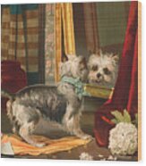 Dog Looking Into Mirror - Vintage Lithograph - 1888 Wood Print