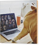 Dog Working At Home On A Web Chat Meeting Wood Print