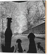 Dogs Spy Alien In Flying Saucer Wood Print