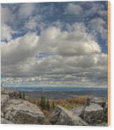 Dolly Sods Wilderness Panorama Wood Print