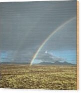 Double Rainbow Wood Print