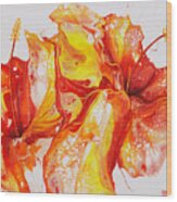 Double Red And Yellow Hibiscus Wood Print