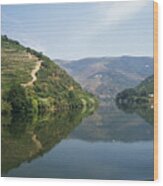 Douro River And Valley Wood Print