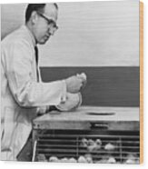 Dr. Jonas Salk At Work Wood Print