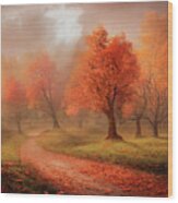 Dramatic Autumn Landscape Of Misty Forest And Path With Fall Lea Wood Print