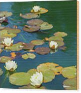 Dreamy Water Lilies On Pond Wood Print