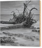 Driftwood Beach In Black And White Wood Print