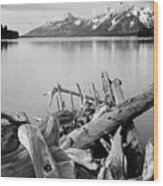 Driftwood On Shore Of Jackson Lake, With Teton Range In Background, Grand Teton National Park, Wyomi Wood Print