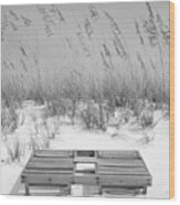 Dual Wooden Tanning Beds On White Sand Dune Destin Florida Black And White Digital Art Wood Print