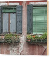 Dueling Rustic Windows Of Venice Wood Print