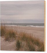 Dunes At The Atlantic Ocean Wood Print