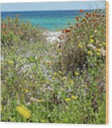 Dunetop Beach Wildflowers Wood Print