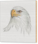 Eagle #2 Wood Print