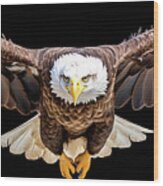 Eagle Flying Towards You 01 Wood Print