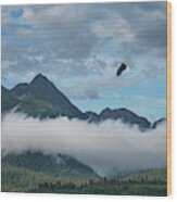 Eagle Over Southeast Alaska Wood Print
