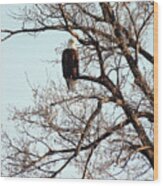 Eagle Watching 2 Wood Print