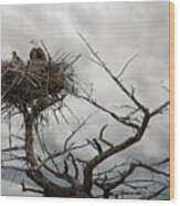 Eagles Nest Wood Print