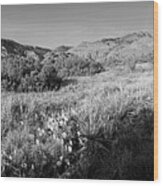 Early Morning Hike, Sunflower Trail, Palo Duro Canyon State Park, Texas Wood Print