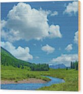 Winding Mountain River, East River At Crested Butte Wood Print